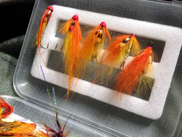 A set of flies in a clear case attracts attention with its novelty factor. 
