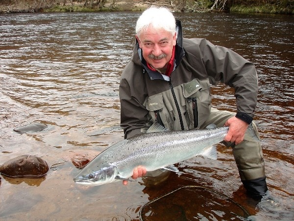 24lb Spring salmon about to be released on Altyre Estate, River Findhorn