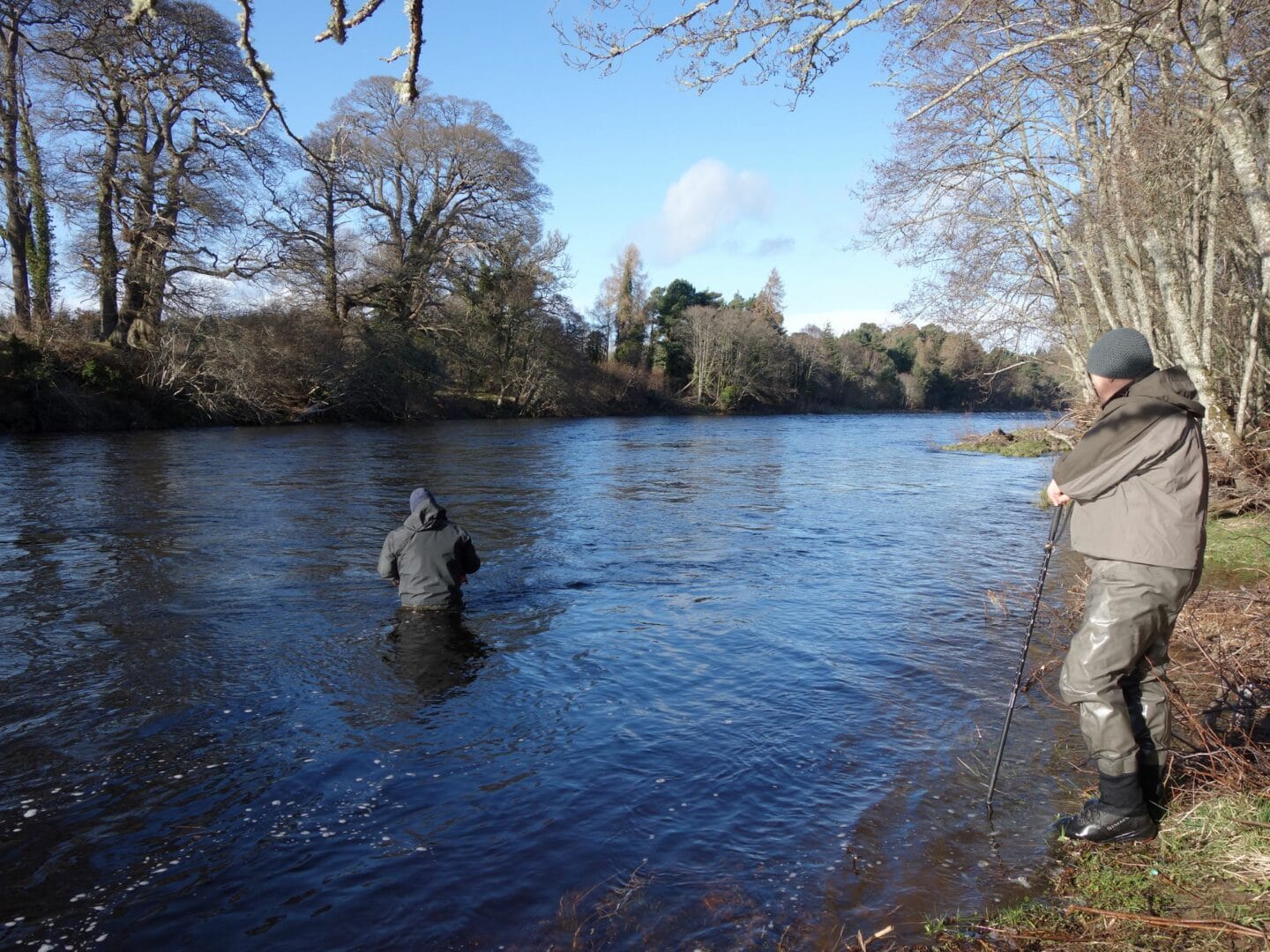 Tom Brown wading down through the tail of Roan Pool. Altyre Estate, River Findhorn in good high water conditions.