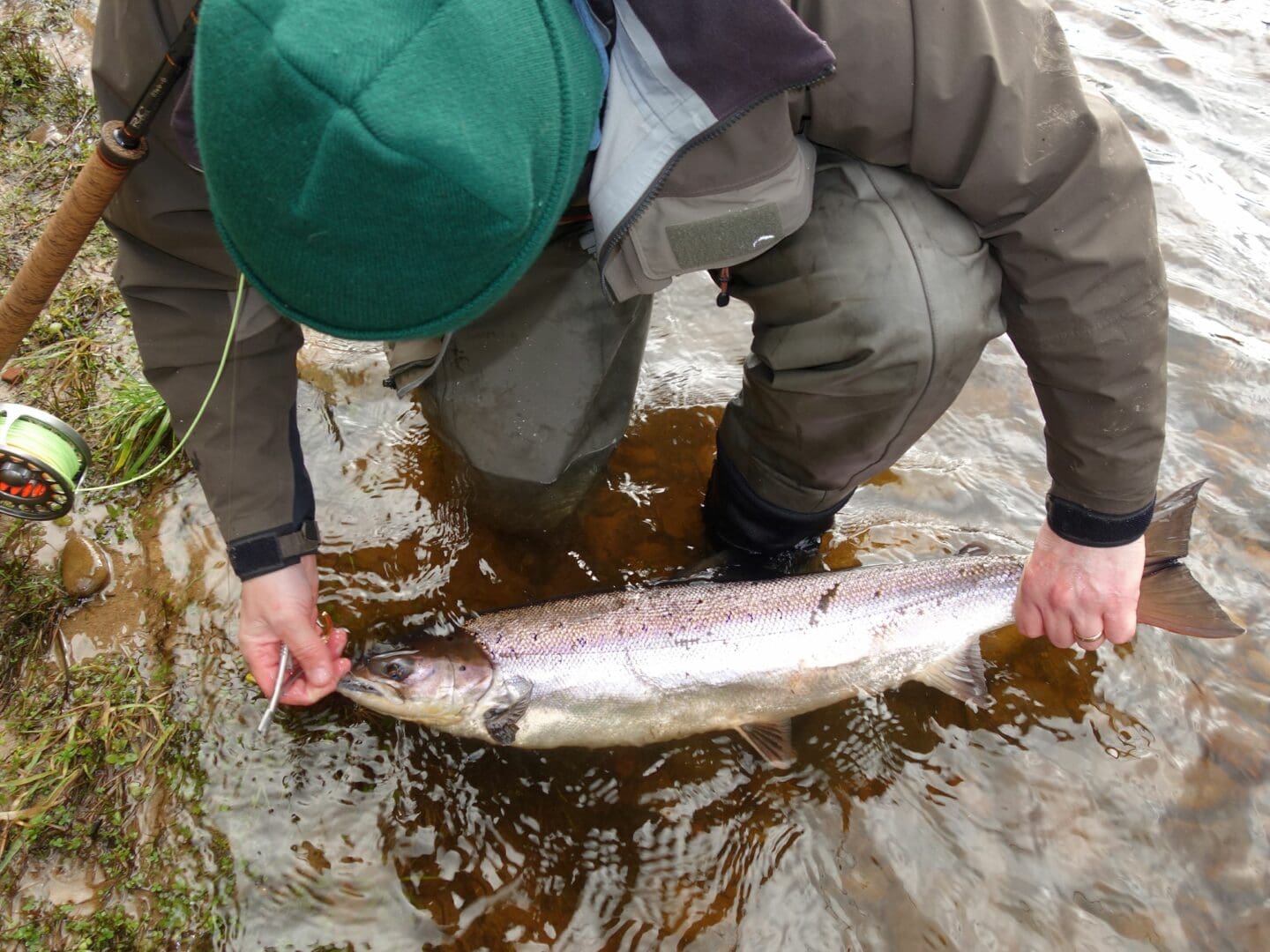 Leslie Tyson carefully removes the hooks of his first fresh fish of the season.