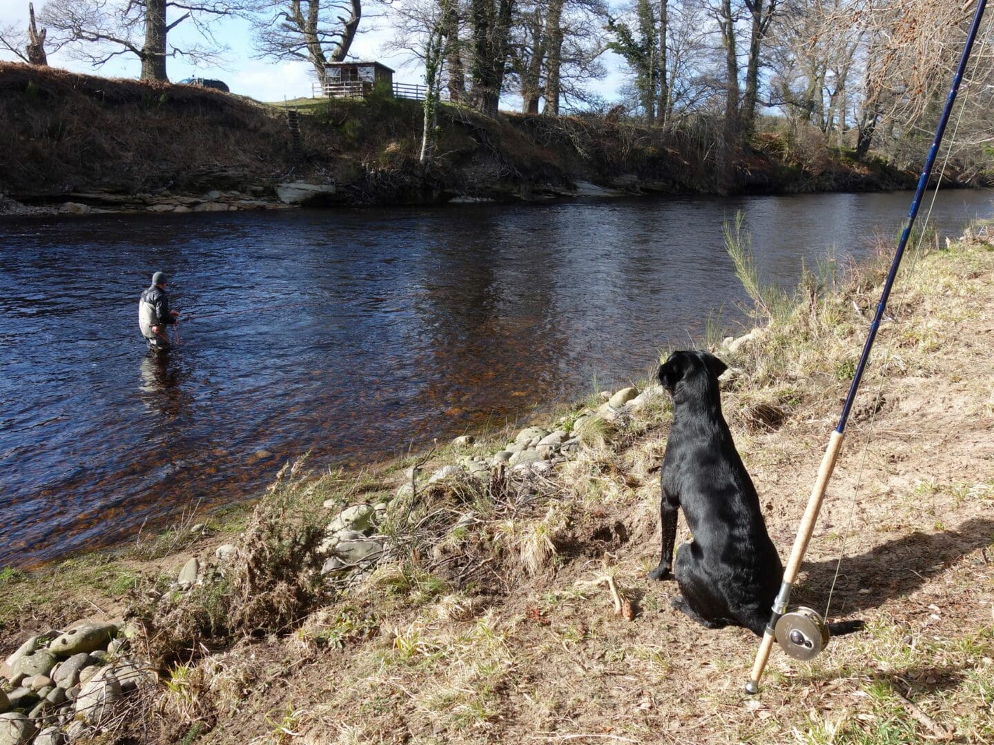 Leslie casts a fly over the Roan pool, while Sula watches on in anticipation!