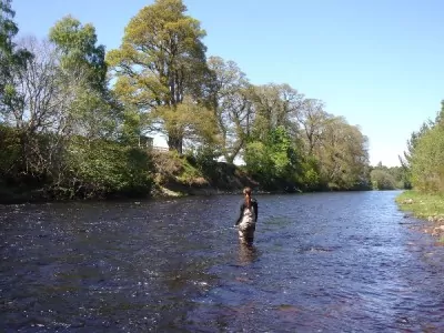 Good high fly water conditions on the Roan pool, Altyre Estate, River Findhorn.