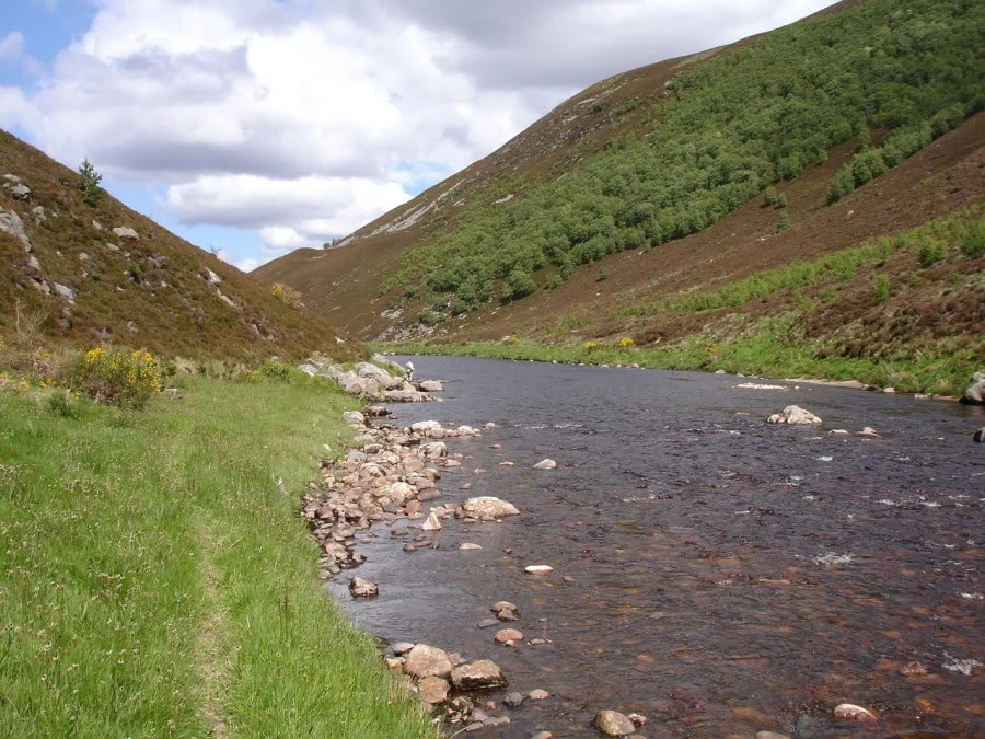 High in the hills on Drynachan, Cawdor Estate