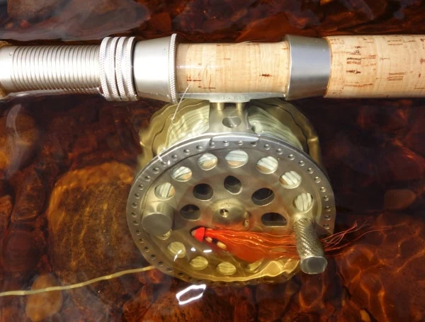 Rod & Reel