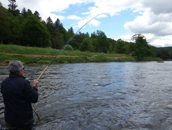 River Dee Commonty