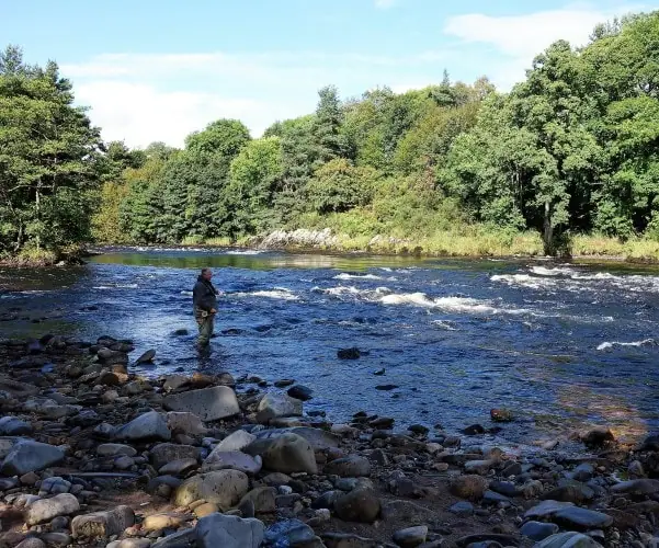 Fishing on River Spey, Knockando