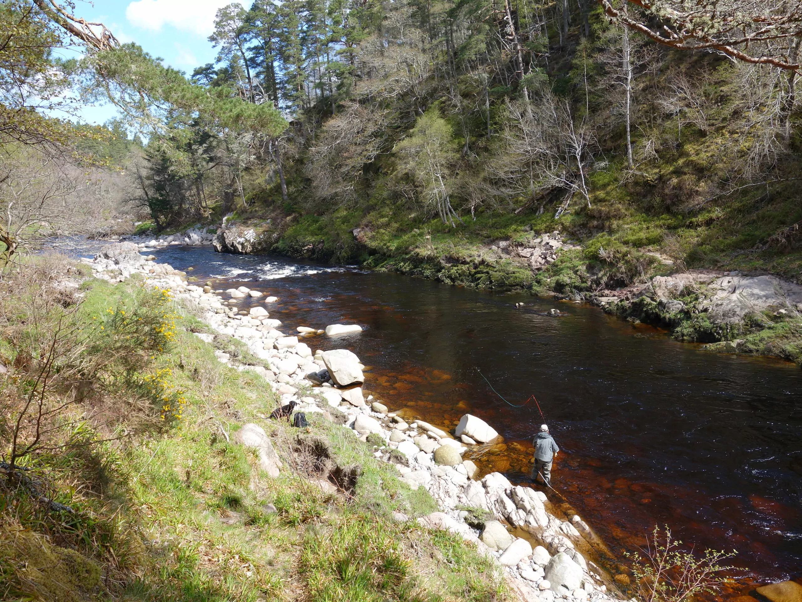 Lang Tail pool on Leverattich, Glenferness Estate