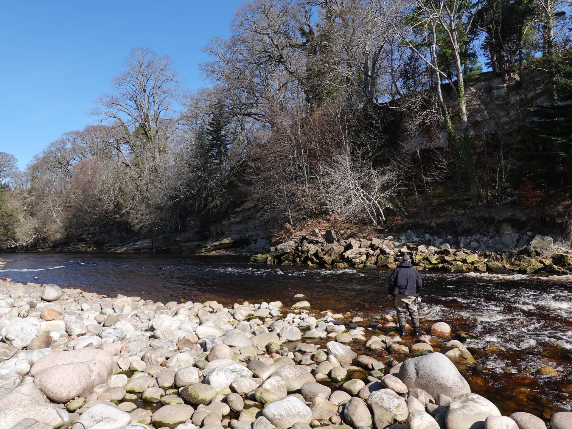 An angler Spey casting on a beautiful stretch of the River Findhorn.