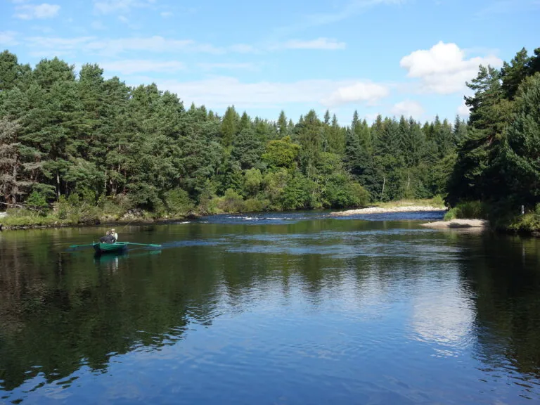 Discover the Best Salmon Fishing Rivers in Scotland