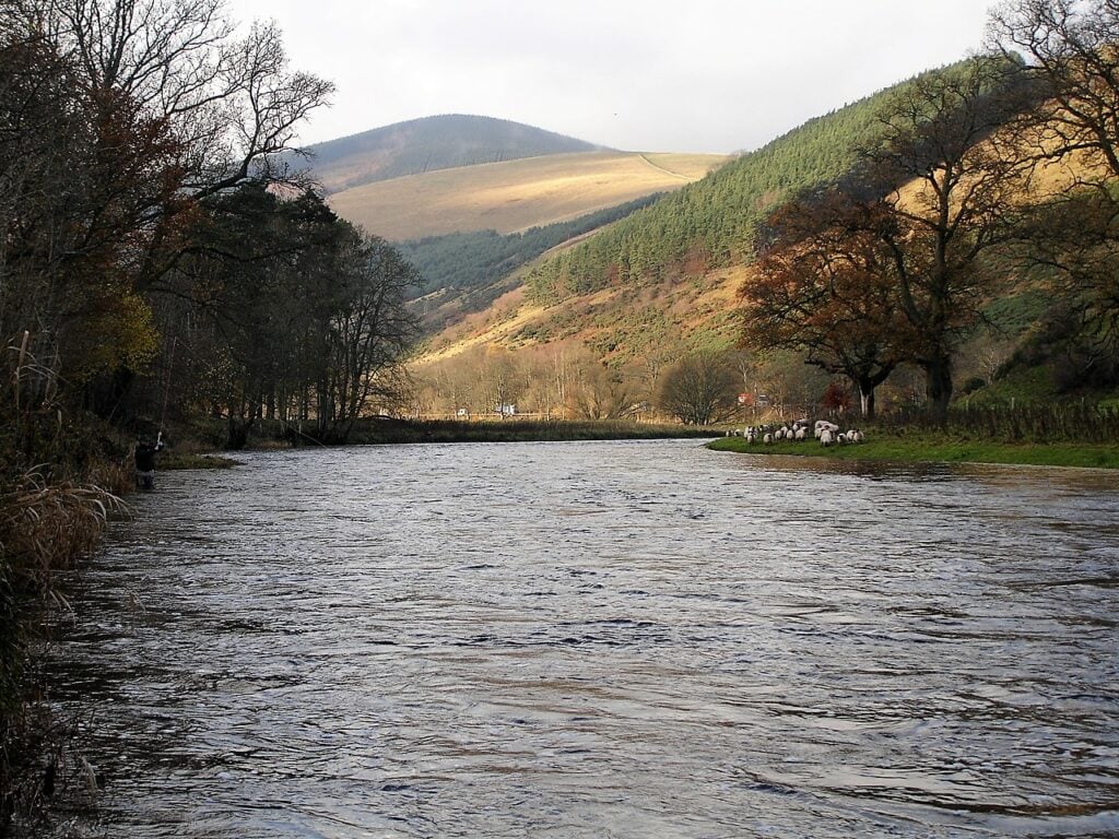 A scenic view of the River Tweed at Scrogbank.