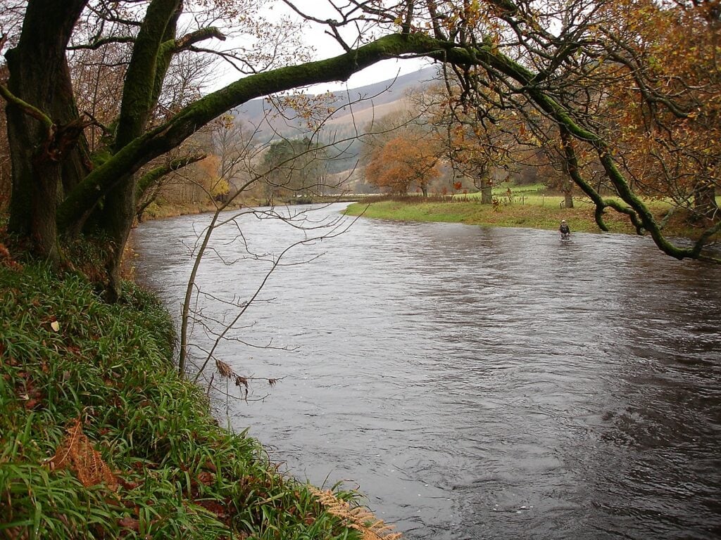The Avenue Pool at Scrogbank, a beautiful and productive part of the beat.