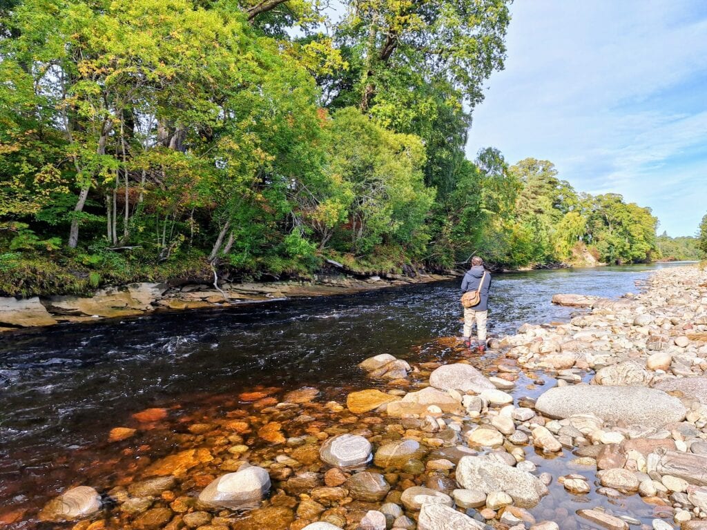 Alastair Eykyn’s fishing a fly through the Roan pool on Altyre Estate, River Findhorn, September 29th 2025